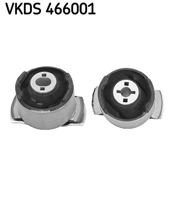 Set reparatie, corp ax VKDS 466001 SKF